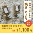 画像1: 【送料無料】焼さより (1)