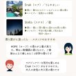 画像7: 【送料無料】ギフト用／母の日セット (7)