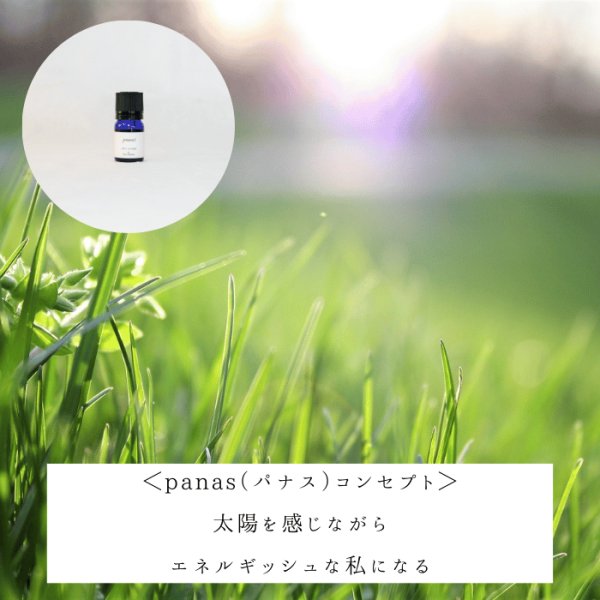 画像2: ブレンド精油【panas（パナス）】 (2)