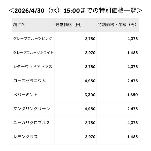 画像2: 4/30（水）15:00まで★半額★GWセール (2)