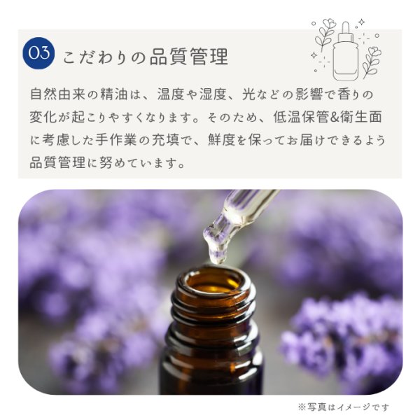 画像10: レモングラス精油 (10)