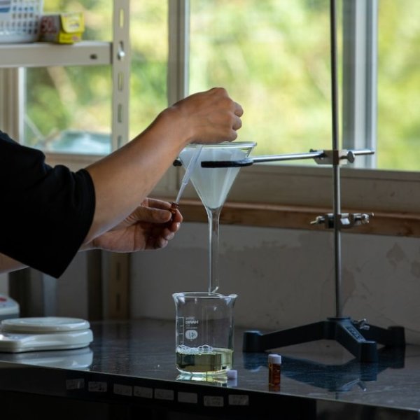 画像4: 【芳樟(ほうしょう)精油】一十八日和精油 (4)