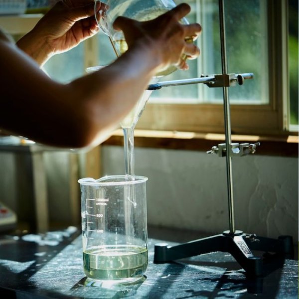 画像4: 【高野槇精油】一十八日和精油 (4)