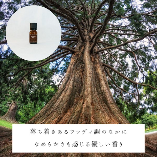 画像2: シダーウッド　アトラス精油 (2)