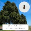 画像2: シダーウッドバージニア精油 (2)