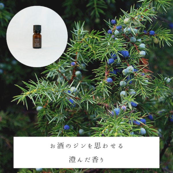 画像2: ジュニパー　ベリー精油 (2)