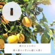 画像2: レモンFCF精油 (2)