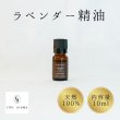 画像1: ラベンダートゥルー精油 (1)