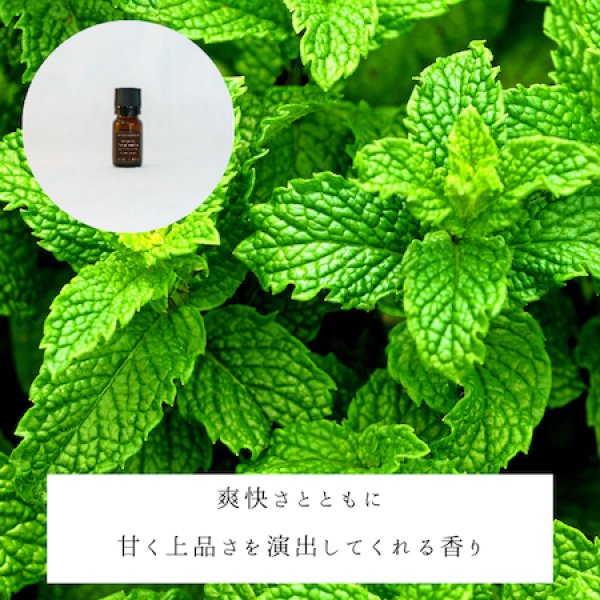 画像2: オーガニックペパーミント精油 (2)