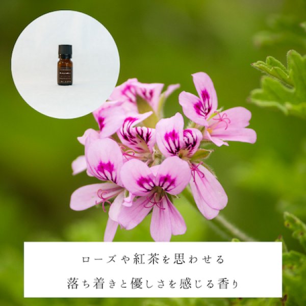 画像2: ローズゼラニウム精油 (2)