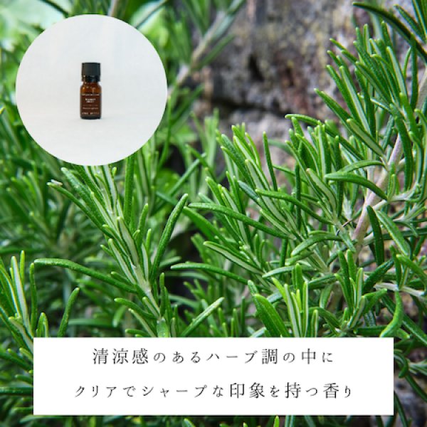画像2: オーガニックローズマリー精油 (2)